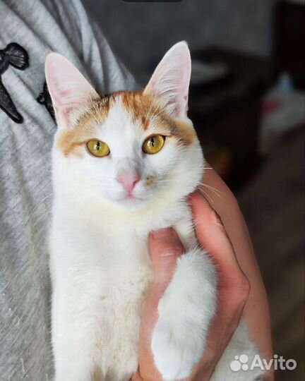 Малышка Яна