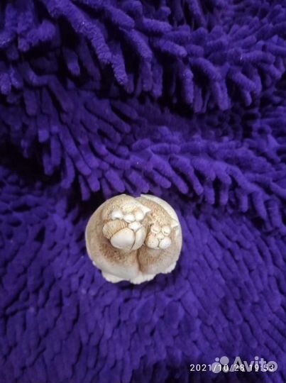 Глиняные статуэтки