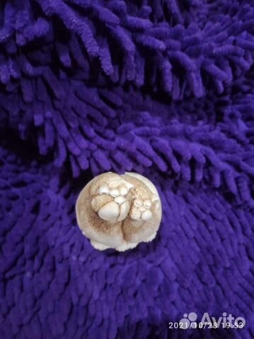 Глиняные статуэтки