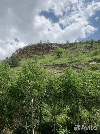 Экскурсия.Тур по Дагестану