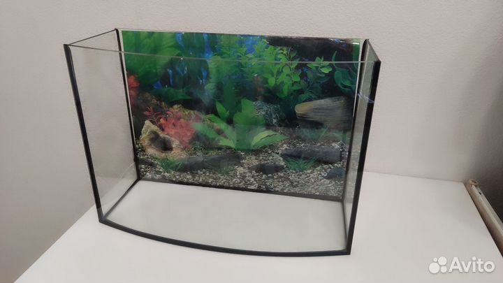 Аквариум