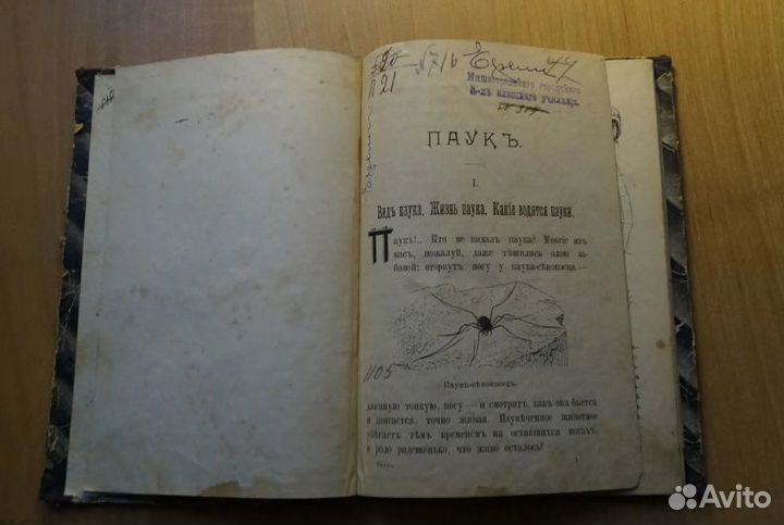 Книга про пауков паук до 1917 год