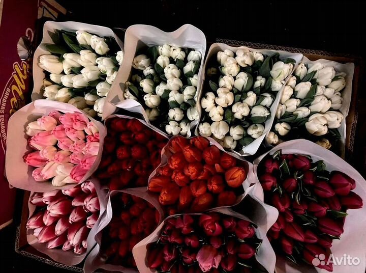 Тюльпаны оптом под заказ