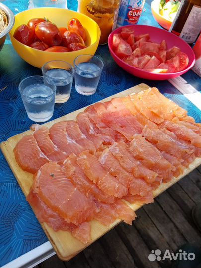 Лососёвая рыбалка на севере Карелии (Пяозеро)