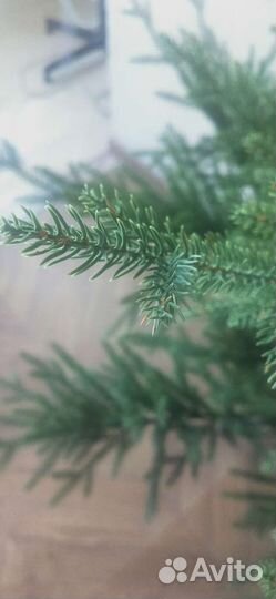 Искусственная ель Max Christmas 2,1 м