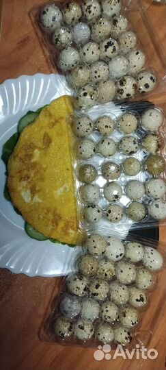 Яйца перепелиные домашние