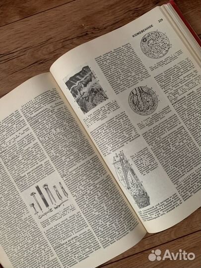 Большой энциклопедический словарь ветеринария