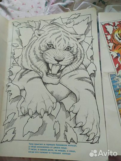 Раскраски, диски