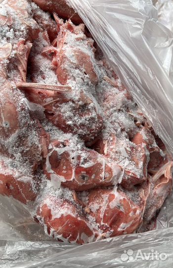 Головы утиные