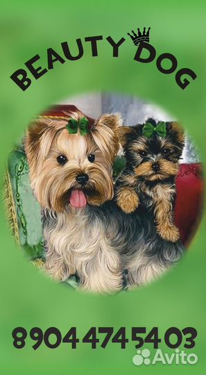 Грумер Нягань