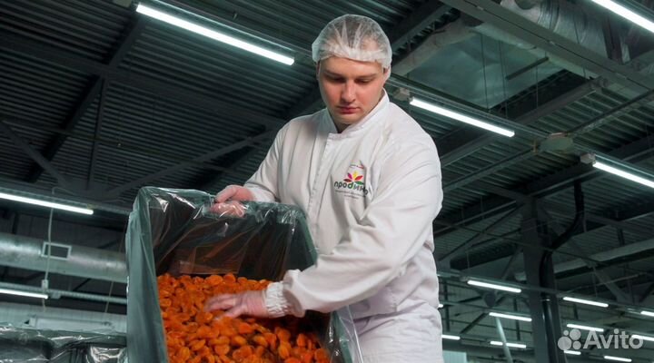 Оператор линии