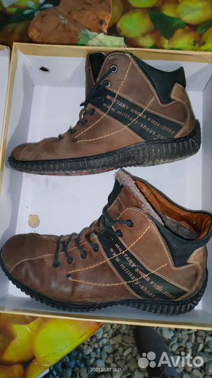 Бантики осень. Мужские