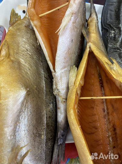 Семга охлажденная, форель охлажденная, дорадо,сиба