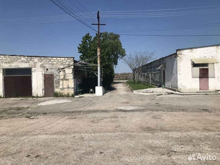 Предприятие по выращиванию шампиньонов