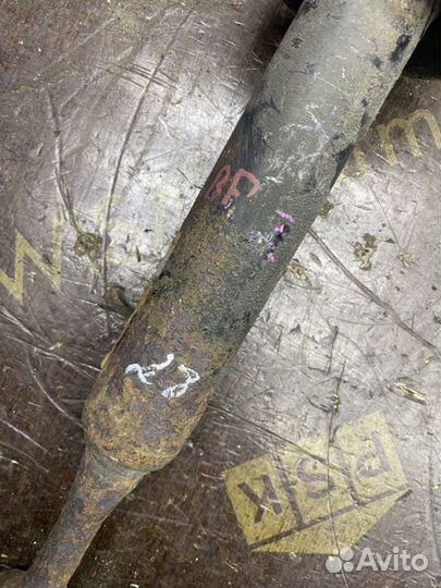 Амортизатор передний Audi A4 8E 1BA 1707