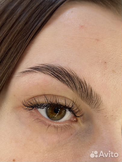 Мастер бровист