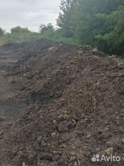 Продам перегной свежий навоз