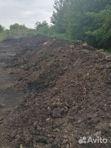 Продам перегной свежий навоз