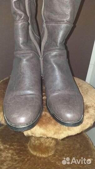 Сапоги демисезонные