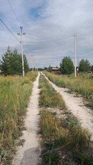 Участок 10 сот. (ИЖС)