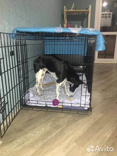 Клетка для собаки с пластиковым поддоном