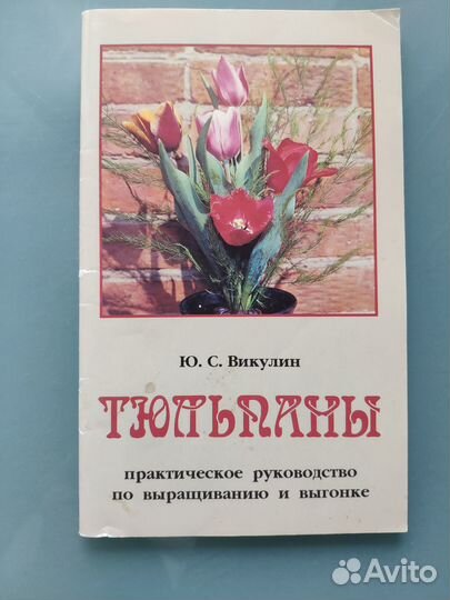 Приусадебный цветник,двулетники, гладиолусы