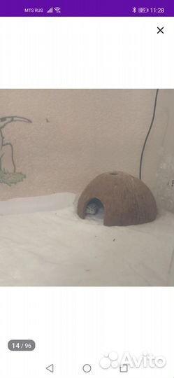 Декорации для аквариума