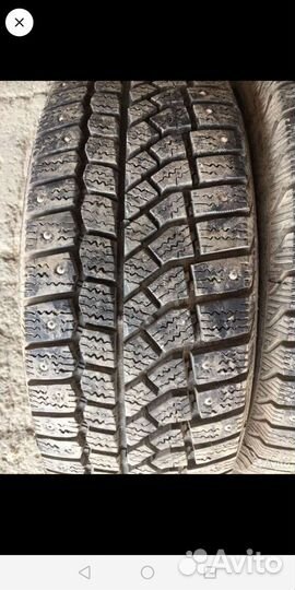 Viatti Bosco Nordico V-523 195/50 R15