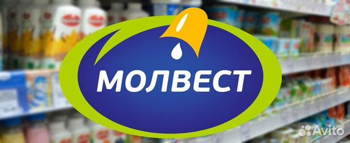 Мерчендайзер (Окей, Шишкова)