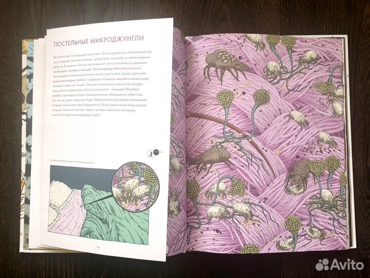 Живой мир под микроскопом, большой формат