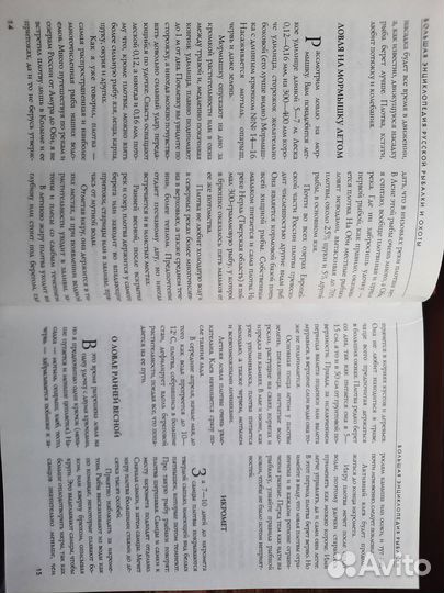 Большая энциклопедия русской рыбалки и охоты