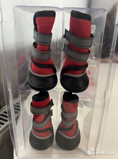 Одежда для собак мелких пород