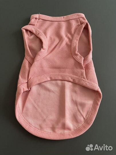 Одежда для животных