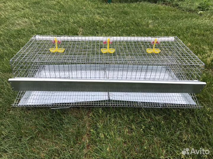 Клетка доя перепелов