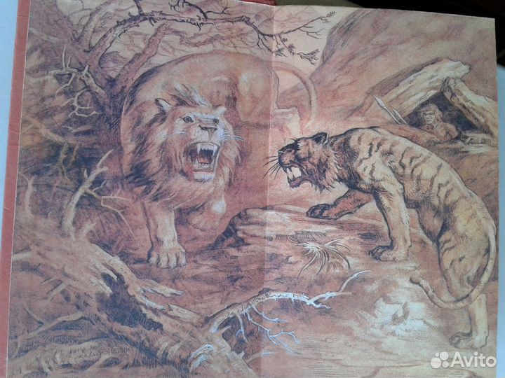 Детская литература