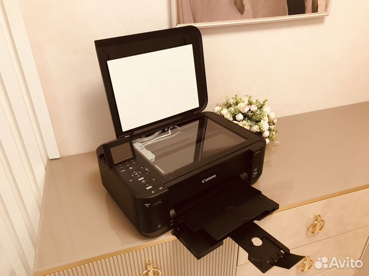 Мфу принтер сканер MG4240