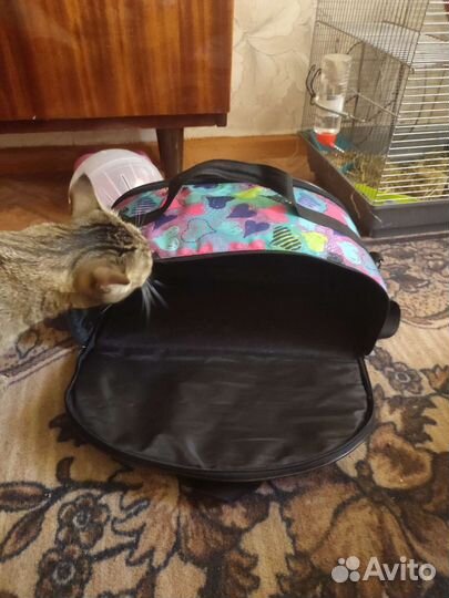 Переноска для кошек