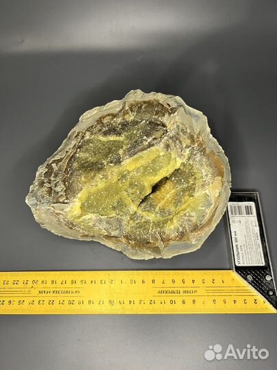 Часть септарии