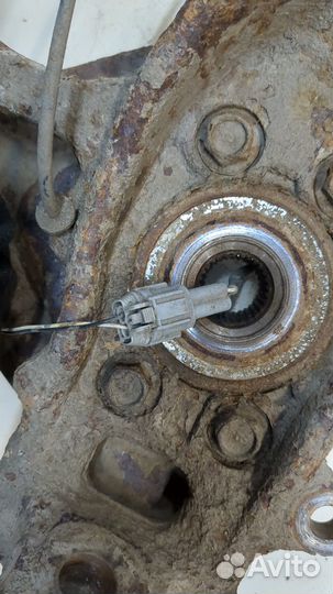 Ступица (кулак, цапфа) Nissan Pathfinder, 2009