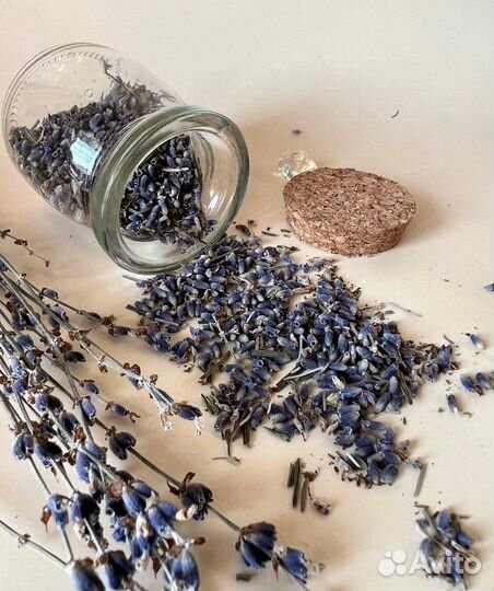 Сухоцветы пищевые. Сухоцветы для творчества