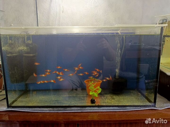 Аквариумы 100 л,35 л,оборудование