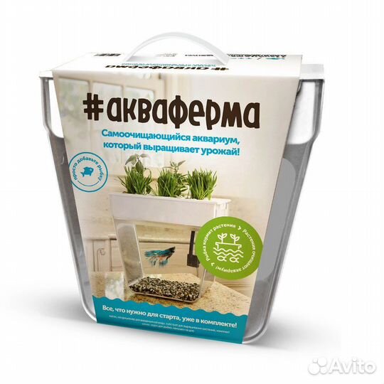 Акваферма с рыбками