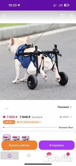 Коляска для животных инвалидов