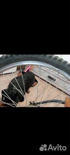 Продам спортивный велосипед