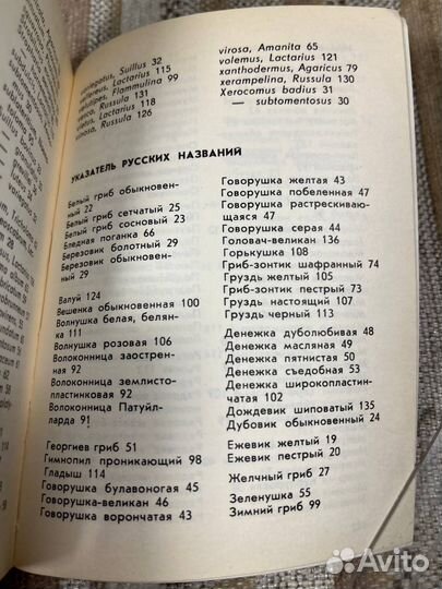 Наши грибы. Таллин Валгус 1979г