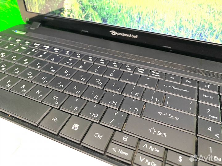 Ноутбук Packard Bell SSD 256Gb