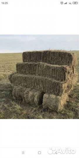 Сено солома в тюках