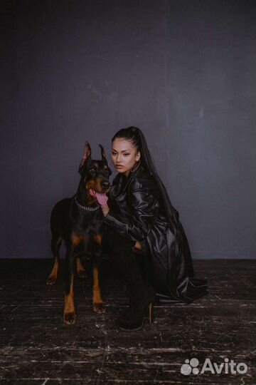Фотосессия с доберманом