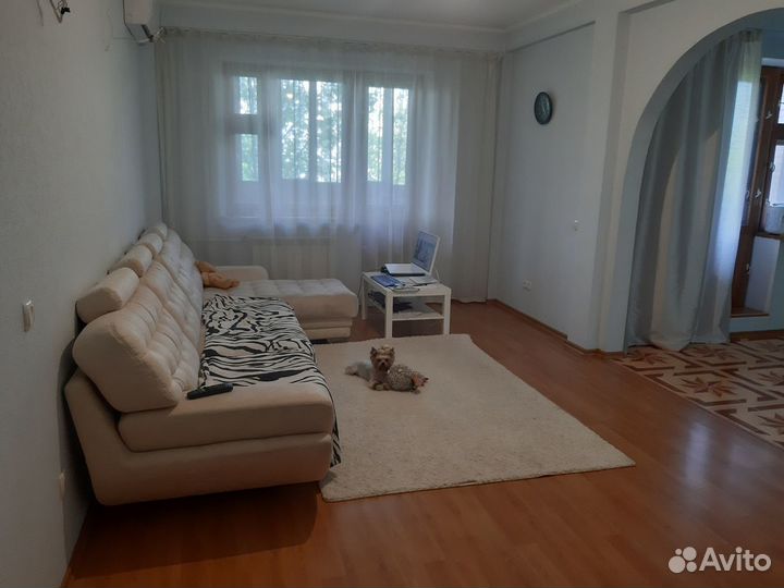 Передержка собак. Профессиональная зооняня