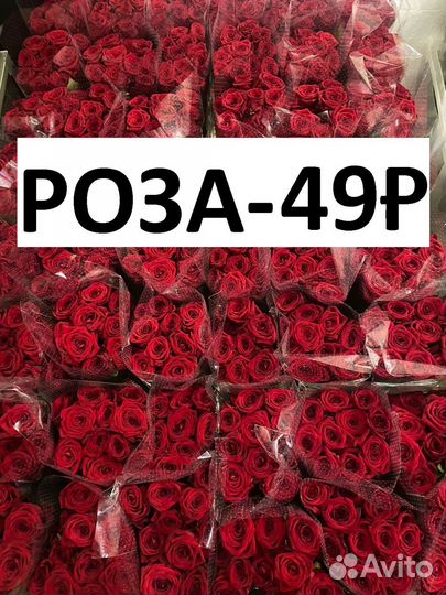 Розы Цветы оптом и в розницу